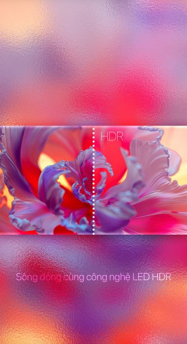 LED HDR tại TDA Group